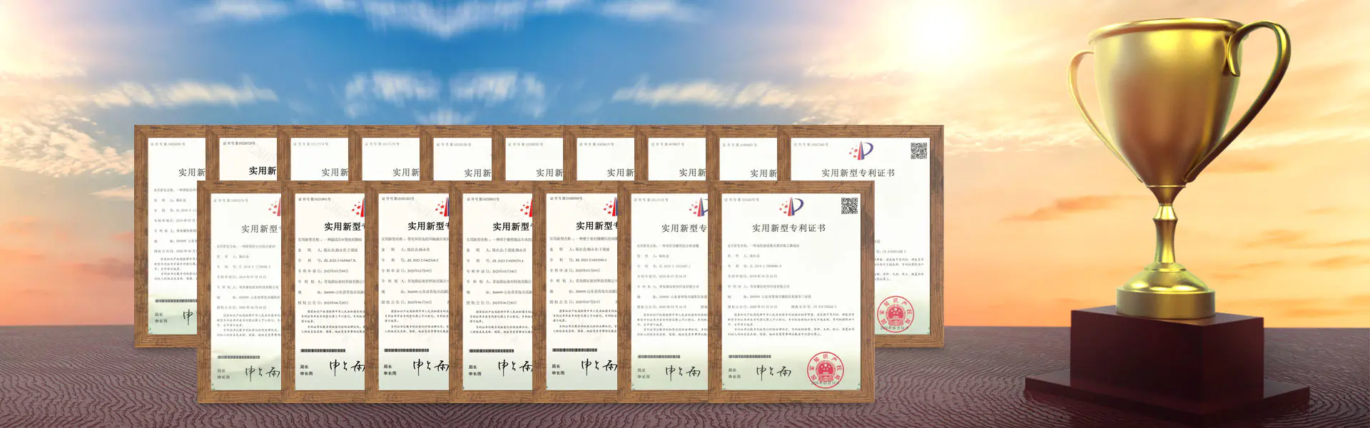 Qualificationes et honores