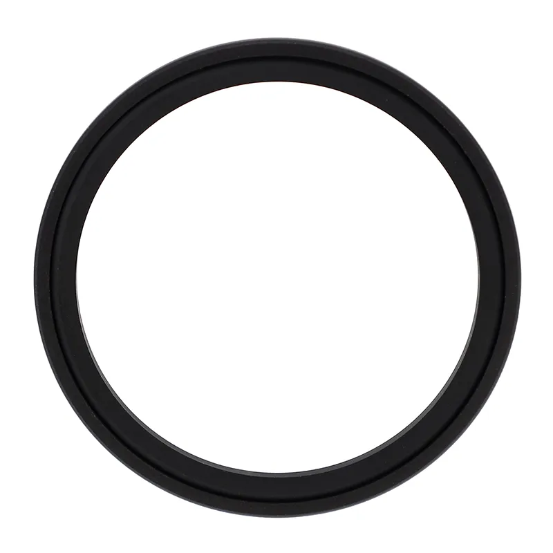 Glyd Ring Sigillum PTFE