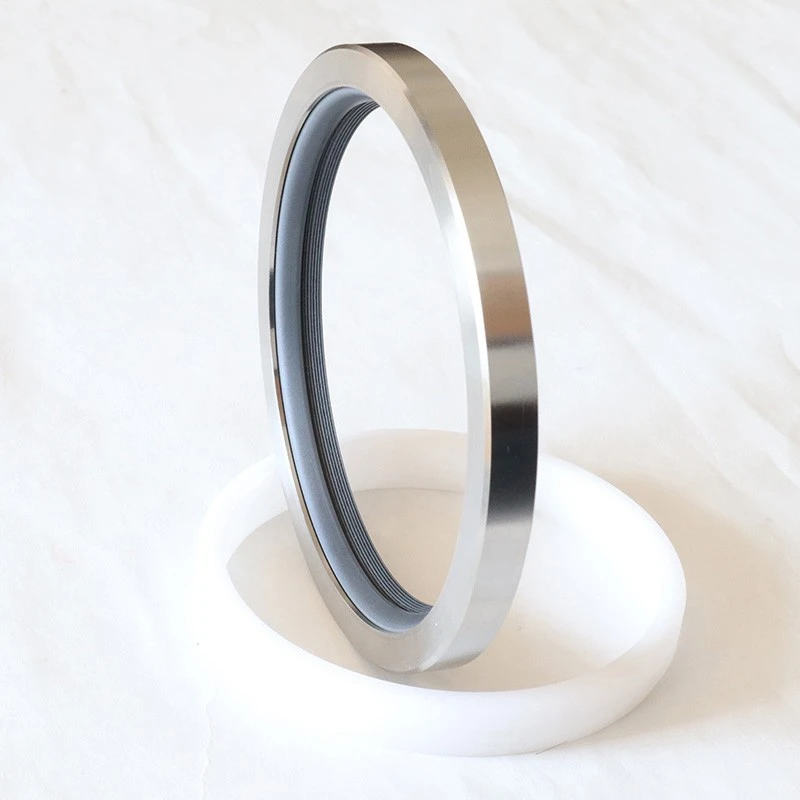 High Pressure Rotary Seals High Pressure Rotary Seals