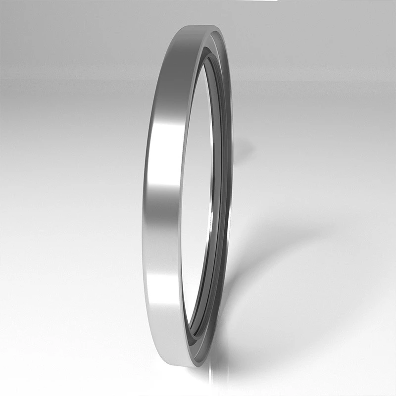 High Pressure Rotary Seals High Pressure Rotary Seals