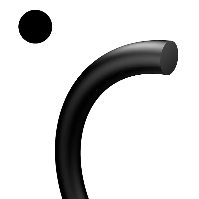 O-anulus